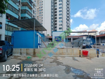 湛江食品企業(yè)集團(tuán)案例