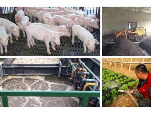 養(yǎng)殖場一年光處理污水的費(fèi)用就需要40萬？？大可不必！