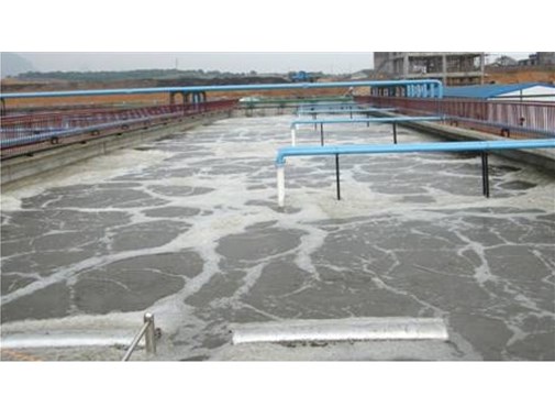 養(yǎng)殖污水處理中的致病微生物該如何處理？