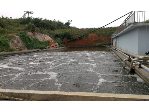 養(yǎng)殖污水最詳細(xì)的流程來啦！