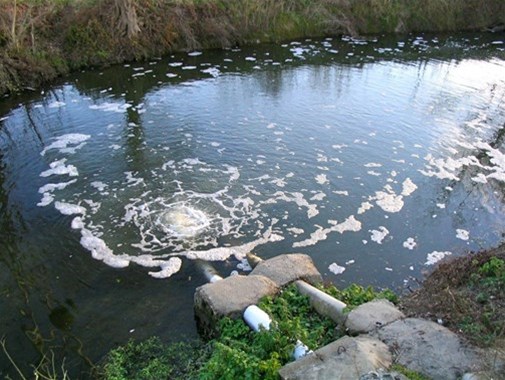 含酚廢水有何危害，怎樣處理?